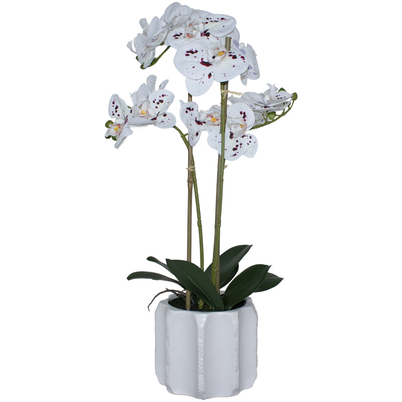 Real Touch Speckled Orchid 53Cm