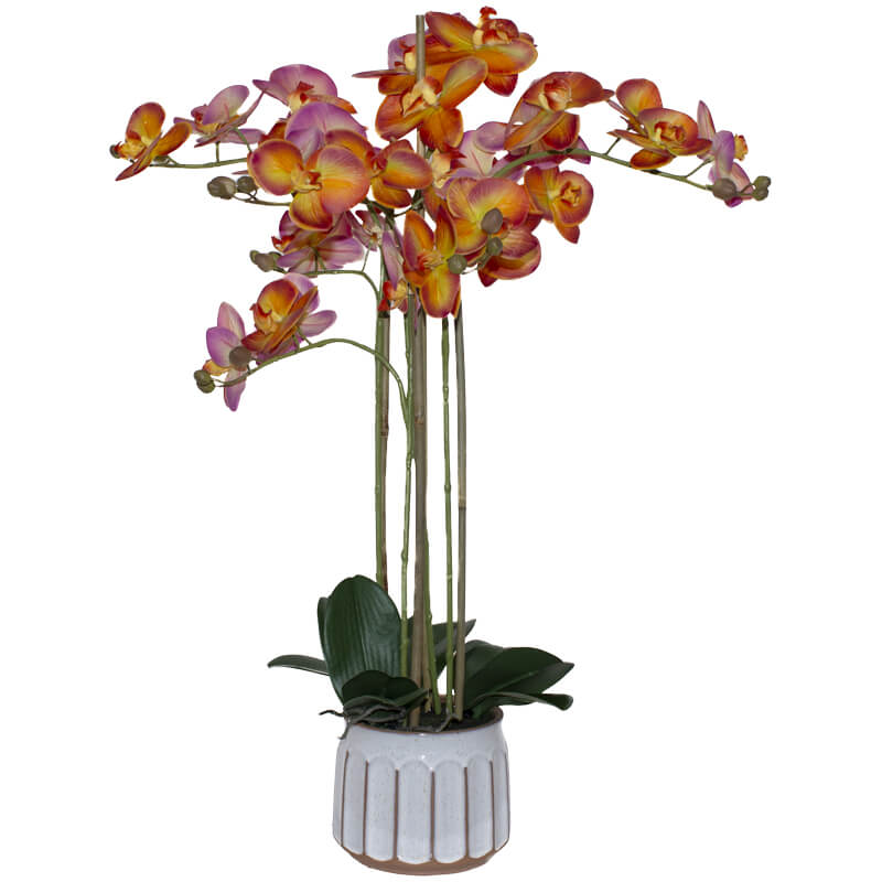 Orange Orchid In Pot 74Cm        