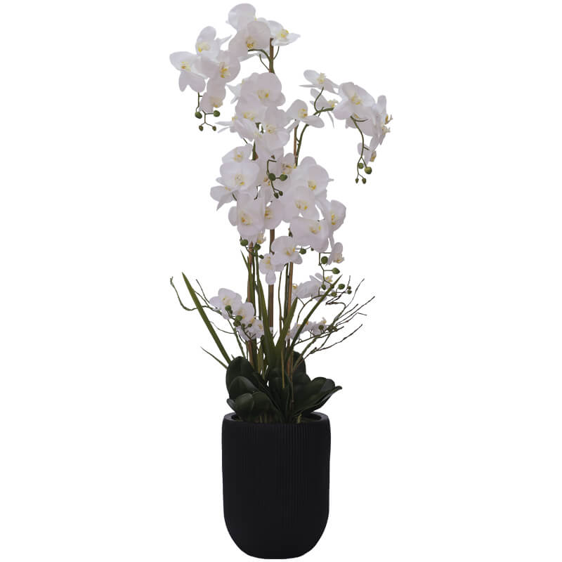 Real Touch White Orchid/Pot 150Cm
