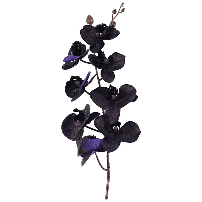 Purple Black Orchid Spray 88Cm   