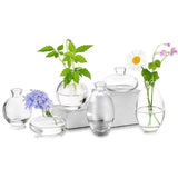 Bud Vase Clear Set/3 12Cm/9Cm/6Cm - Image 2